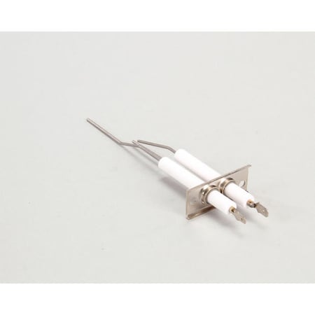 Lang Dsi Electrode Assembly 2J-80302-05